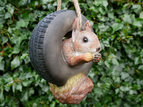 Squirrel tyre tree hanging - tyre,