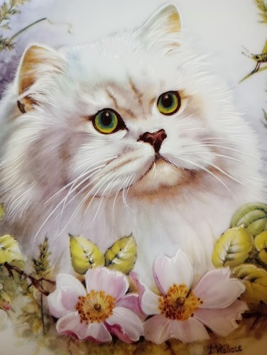The majestic collection white - the,