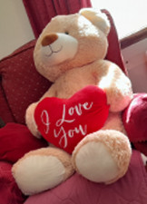 Giant teddy bear - teddy,