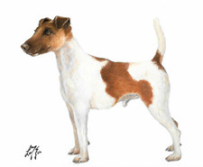 ✤ ORIGINAL Oil Portrait Painting FOX TERRIER SMOOTH Artist Signed Puppy Dog Art