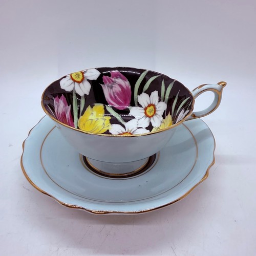 Paragon blue tulip - paragon, daffodils