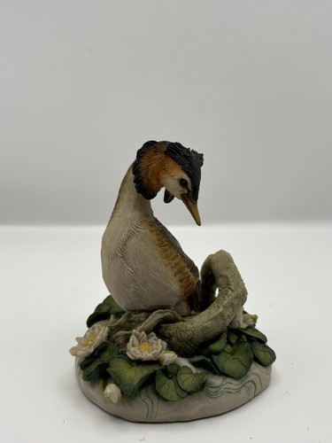 Teviotdale birds great crested - teviotdale, birds-great