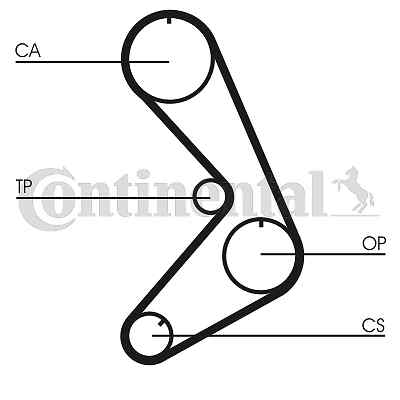 Timing belt for citroën - timing,