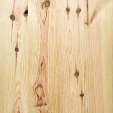 Maritime Pine Reject