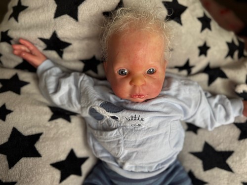 Reborn willow flower - , by