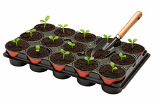 15 Pot Seed Starter Tray