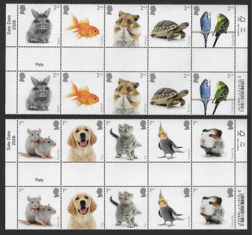 2026 pets budgerigar - gb, cat