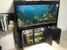 Fish Tank Aquarium Complete