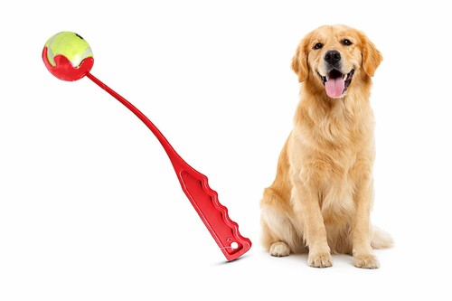 Dog ball launcher tennis - dog,