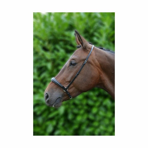 Padded drop nose - hy, band