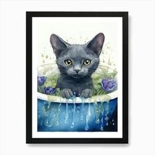 Russian blue cat - blue,