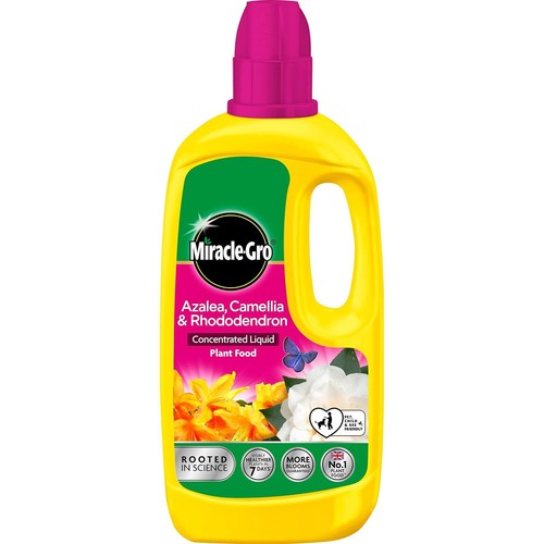 Miracle gro ericaceous plant - miracle,