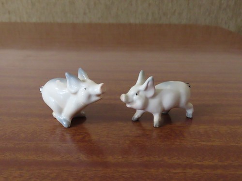 Small beswick piglets - small, pigs