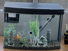 BEAUTIFUL FISH TANK With Everything Included Except Fish.
