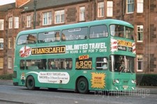 Bus Photo - Greater Glasgow PTE LA995 KSU871P Leyland Atlantean Alexander