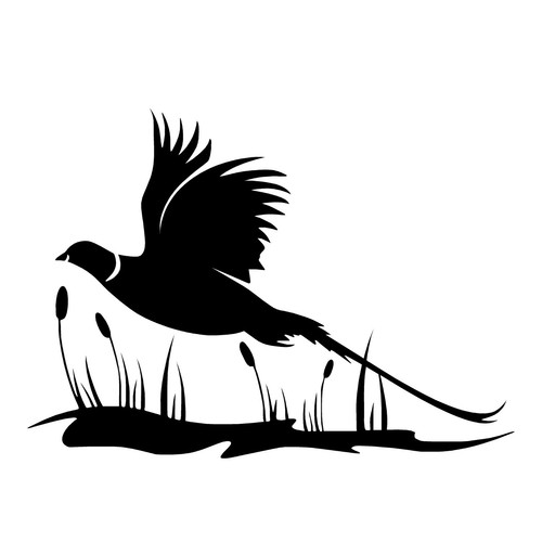 Pheasant country gamekeeper - pheasant,