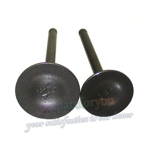 Intake exhaust valves for - intake,