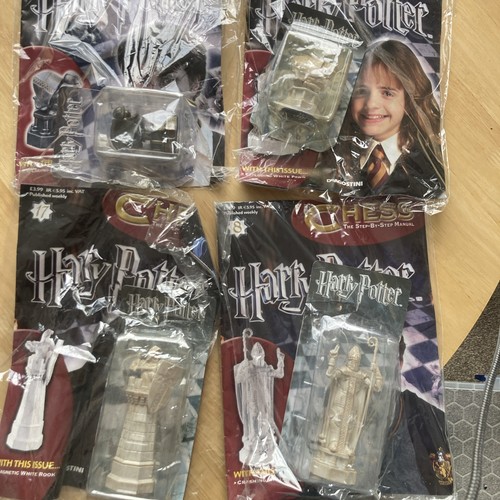 Harry potter chess pieces - harry,