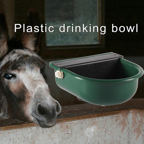 Livestock cattle horse water - cattle,