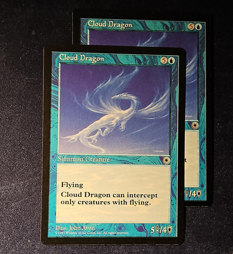 Magic the gathering fifth - the,