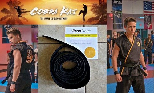Cobra kai robby keene tanner - cobra, kai: