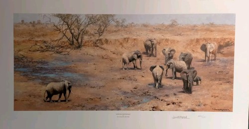 David shepherd african - shepherd,