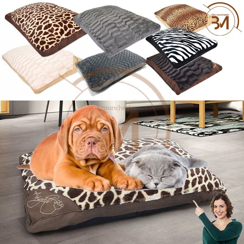 Large extra - large, pet
