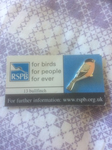 Rspb pin badge - badge, bullfinch