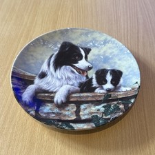 Danbury Mint The Border Collie