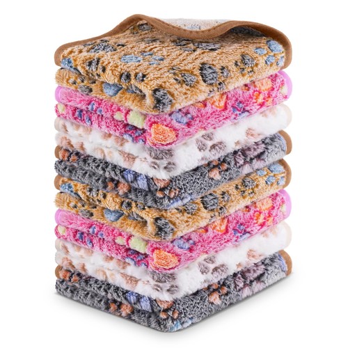 8pcs soft guinea - guinea, pig