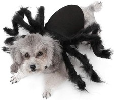 Pet Spider Costume Halloween