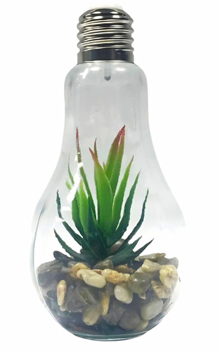 Light bulb glass terrarium - light,