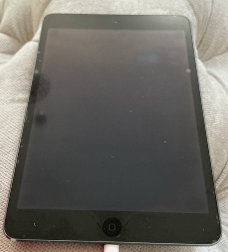 Apple ipad mini - mini,