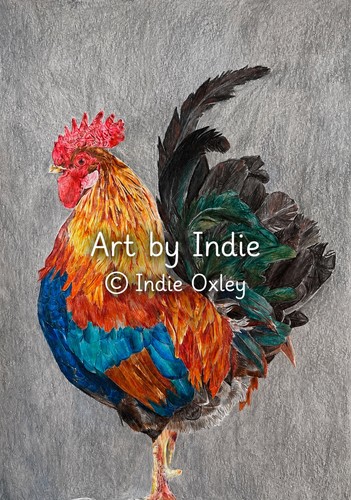 Rooster original coloured - a4,