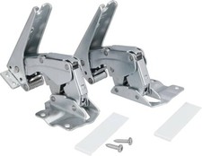 Pair of Door Hinges for