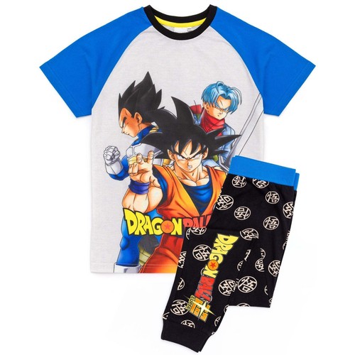 Dragon ball boys goku - ball,