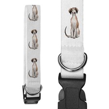 'Saluki Puppy' Dog Collars