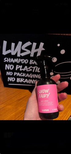 Lush snow fairy - fairy, travel