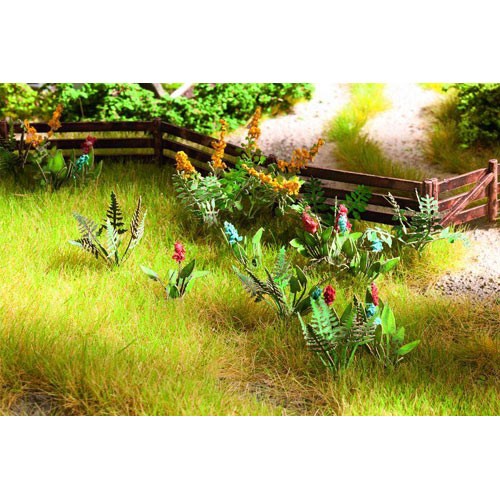 Noch field plants and - noch,