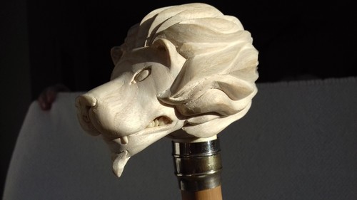 Lion head walking - lion, stick
