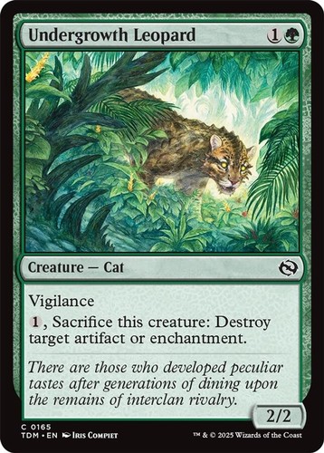 Undergrowth leopard - leopard,