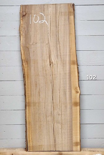 Elm live edge - edge, x