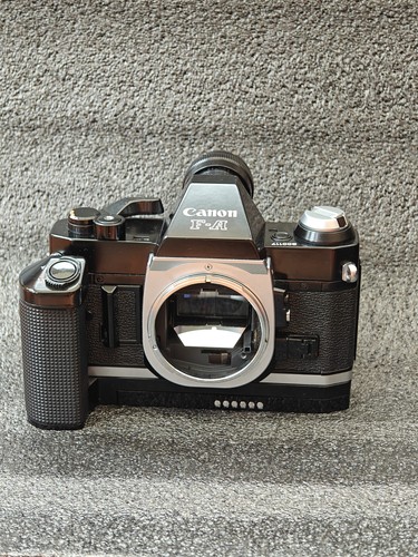 Vintage canon fundus - vintage,