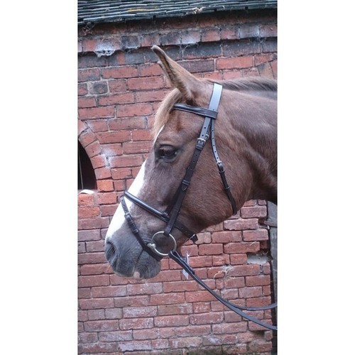 Shetland flash bridle - shetland, rubber