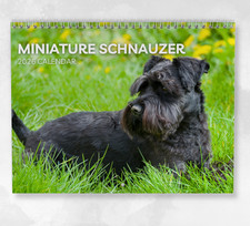 Miniature Schnauzer Calendar