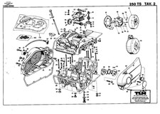 Moto Guzzi 250 TS 1979 Parts