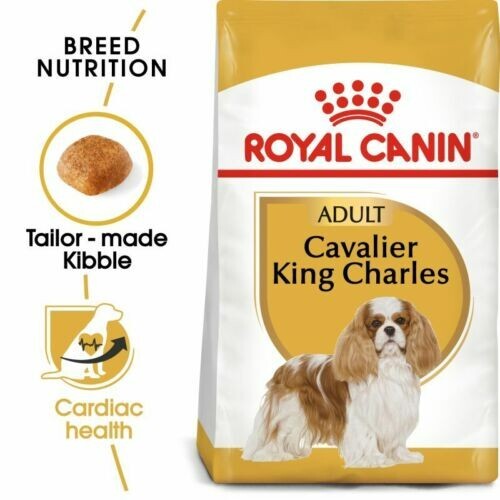 Royal canin cavalier king - royal,