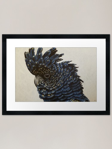 Black cockatoo portrait - cockatoo, 5