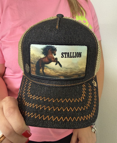 Goorin bros stallion horse - stallion,