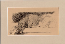 Cecil Aldin ~ Irish Wolfhound